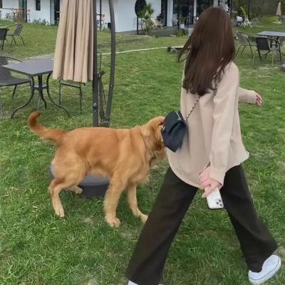 毒妇与恶汉